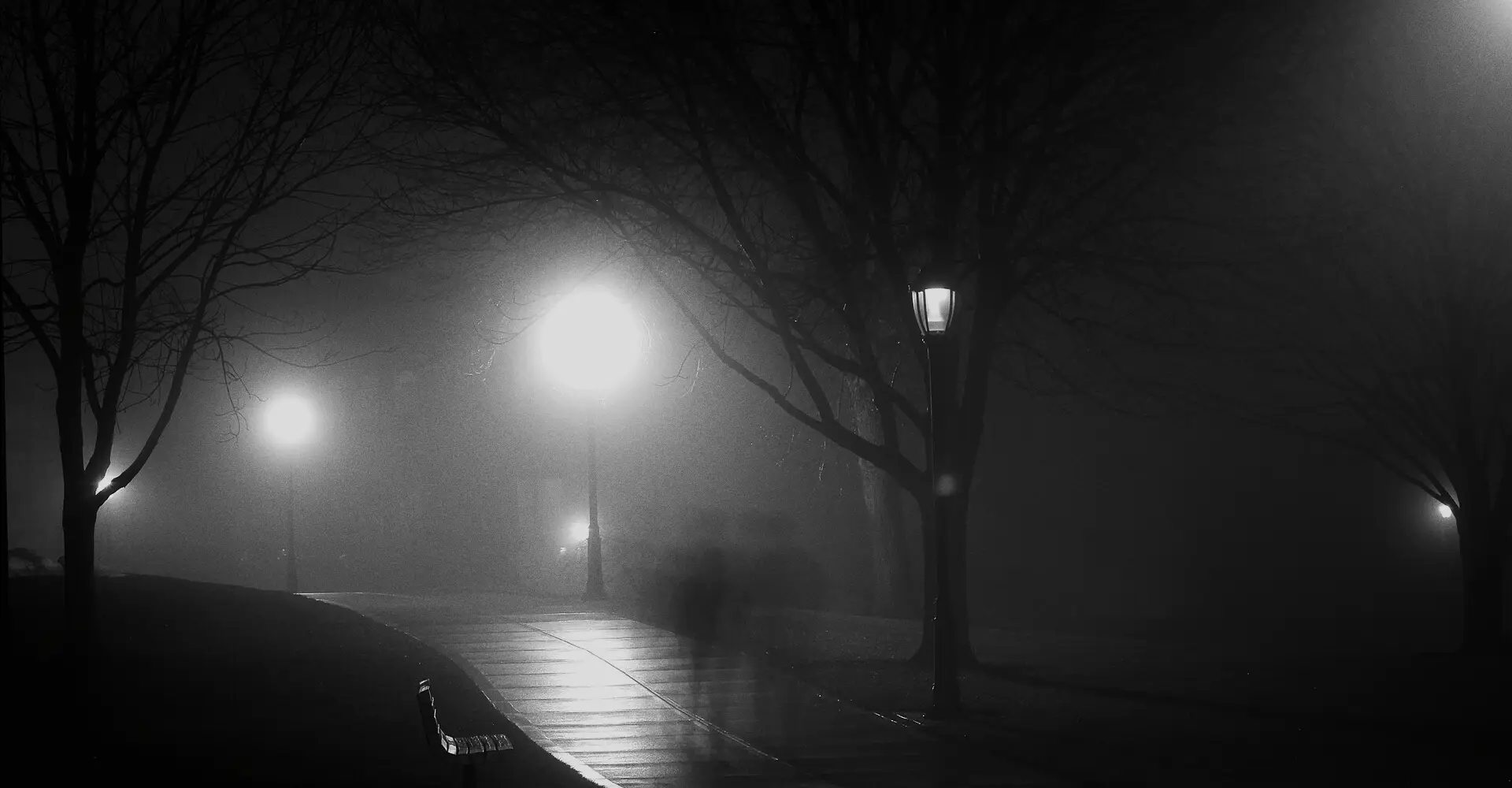 A park path at night, street lamps blurred by thick fog
